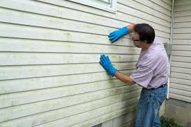 Affordable Siding Repair and Maintenance Services in Crown Point, IN